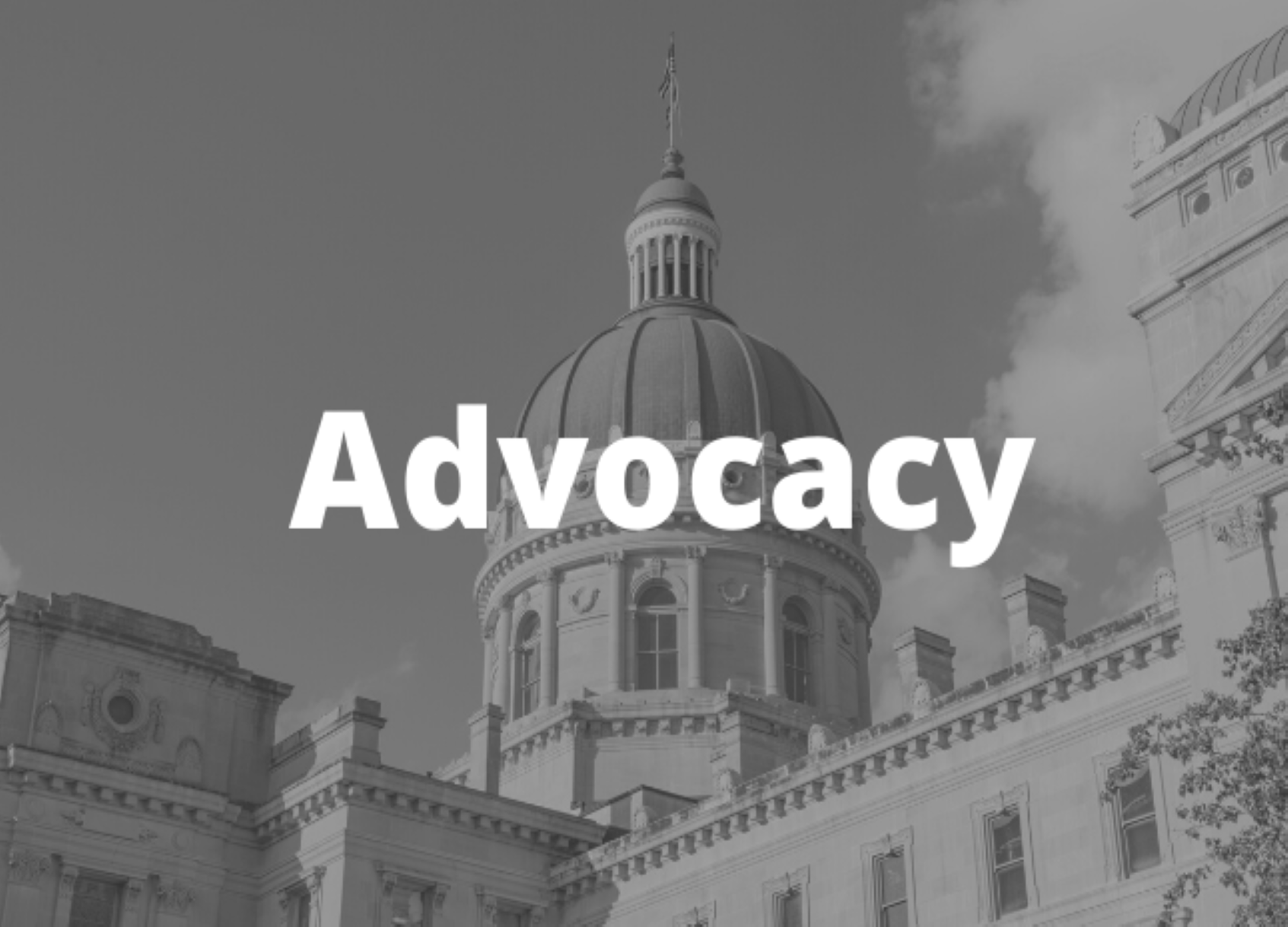 Advocacy Button